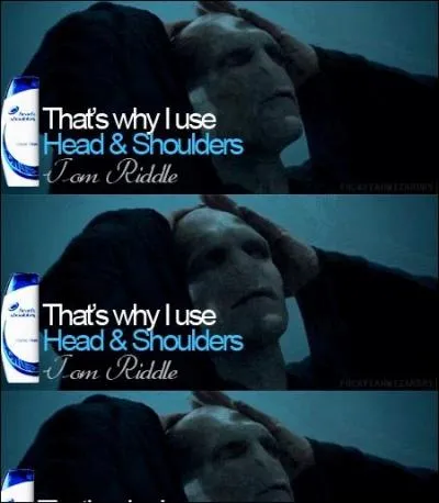 Même si ça peu paraître un poil inutile, Voldemort croit bon d'entretenir son cuir chevelu avec ce qu'il y a de mieux. C'est-à-dire en se fournissant chez :