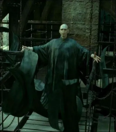 Pour le geek moyen fan de jeu d'épouvante, Voldemort va jusqu'à prendre la pose...