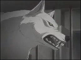 A quel manga appartient ce personnage ?