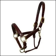 Comment s'appelle le harnachement qui attache le cheval dans sa stalle ?