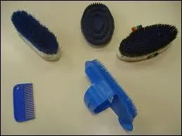 Quelles sont les étapes dans un pansage ?