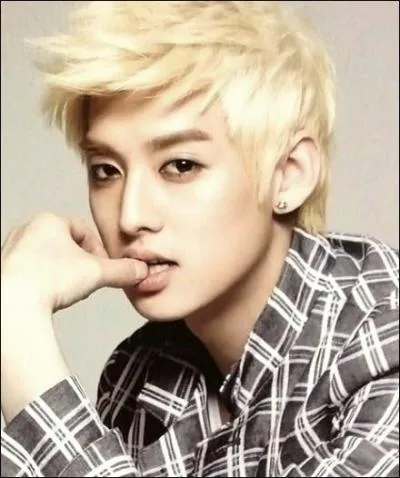 Son type de fille idéale est :