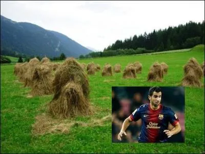 Joueur de foot barcelonais évoluant au FC Barcelone. Martín Montoya.
La traduction de son patronyme est -------------.