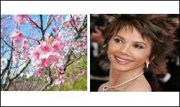 Elle porte un nom de mois.