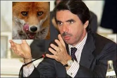 José María Alfredo Aznar fut président du gouvernement espagnol durant deux ans. Que signifie son patronyme ?