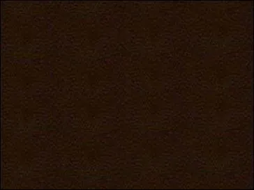 Ce patronyme entre dans le top 15 des noms de familles les plus répandus en Espagne.