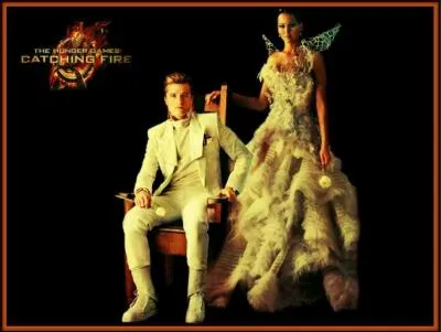 Maintenant, je crois qu'il est temps de parler de... Peeta Mellark et de sa bien-aimée Katniss Everdeen : Est-ce qu'ils se sont mariés dans le 2 ? Si oui, comment ?