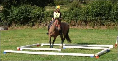 Quelle est cette discipline ?