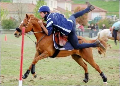 Cette discipline est :