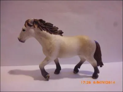 Combien existe-t-il de robes de chevaux (principales) ?