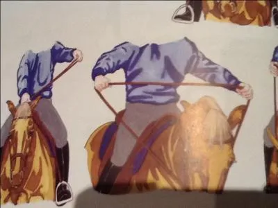 Peut-on tenir ses rênes comme cela ?