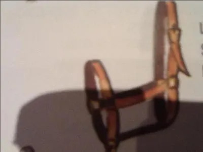 Quelle est cette chose ?