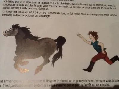 Faut-il courir après le cheval ?