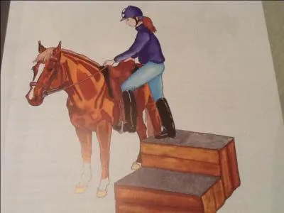 Peut-on utiliser un montoir ?