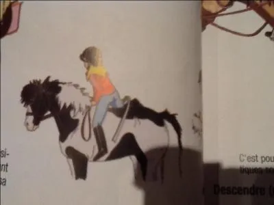 Peut-on monter à cheval sans selle ?