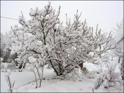 Dans ce livre-album intitulé "L'hiver", l'auteur nous conte ses impressions d'hiver et les souvenirs de son enfance. Il aurait pu reprendre la phrase de Gilles Vigneault "Mon pays, ce n'est pas un pays, c'est l'hiver". Qui est cet écrivain connu pour son roman "Malataverne" ?