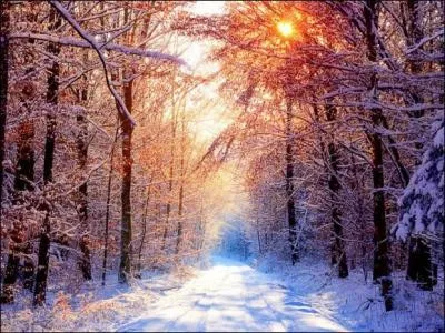 "L'hiver blanchit le dur chemin / La bise mord ta douce main" : extrait du poème "Il fait froid" de..., connu pour "Les Misérables", "Les Contemplations", "Les Châtiments".