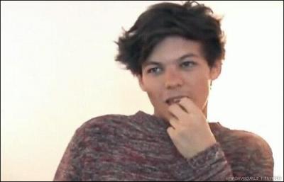 Quelles études artistiques a fait Louis avant d'intégrer les One Direction ?