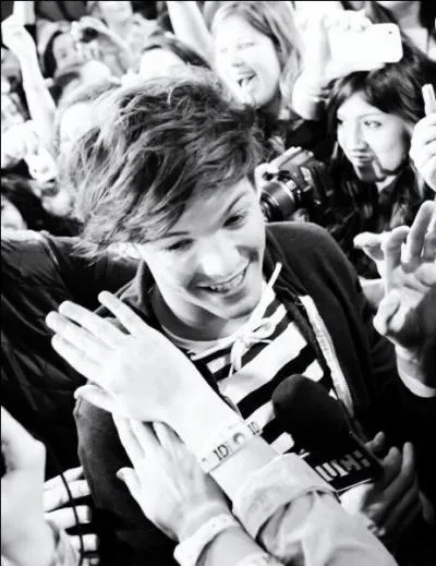 Quel est le nom de naissance complet de Louis ?