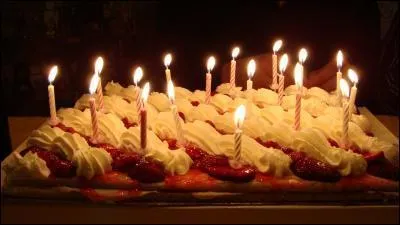 Sachant que l'espérance de vie d'un pinscher est d'environ 14 ans, celle dont nous fêtons l'anniversaire les a dépassés ! Quel âge a la petite chienne de Poucette aujourd'hui, 25 novembre ? (Il vous suffit de compter les bougies)