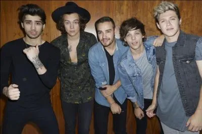 Quel est le nom du réalisateur de la plupart des clips vidéo des One Direction ?