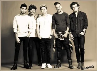 Qui a écrit pour le groupe les chansons "Little Things" et "18" ?