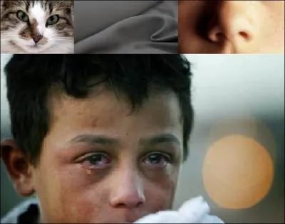 Je suis vraiment... .....de vous quitter, mais il faut bien, c'est la dernière question. Sélectionnez le bon mot qui correspond à l'image.