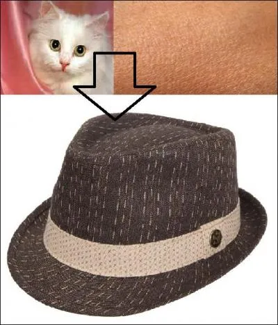 Trouverez-vous le bon mot ?