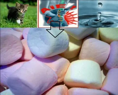 Sélectionnez la bonne réponse.