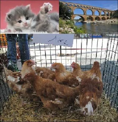 Choisissez la bonne réponse.