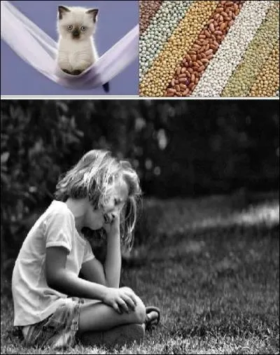 Noyer son... ... .dans l'alcool ! Avec cette image, avez-vous trouvé la bonne réponse ?