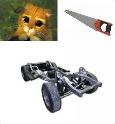 Quel est le bon mot ?