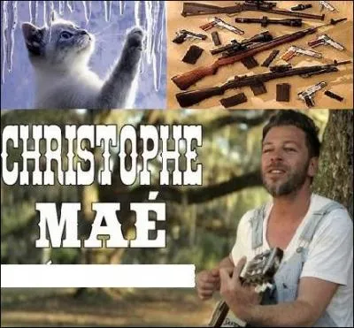 Ce quiz est vraiment bien, je suis sous le :