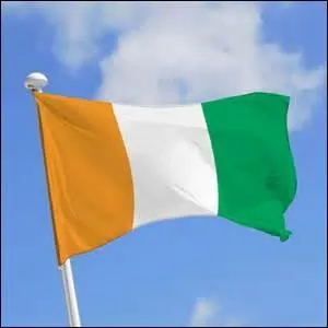 Il y a du orange dans le drapeau national de l'Irlande.
