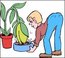 Neige de décembre est ... pour la terre !