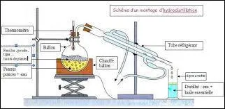 Qu'est-ce que l'hydrodistillation ?