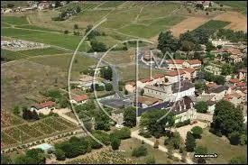Voici la commune Rhodanienne de Blacé vue du ciel. Elle se situe en région ...