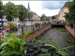 Nous sommes à Niederbronn-les-Bains, ville Bas-Rhinoise située en région ...