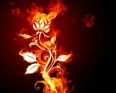 Les cendres d'un défunt sont-elles juridiquement assimilables à un corps ?