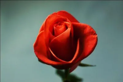 En 2007, quelle était la proportion de crémations en France ?