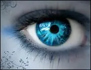 Lequel de ces groupes n'a aucun d'album appelé "The Eye" ?