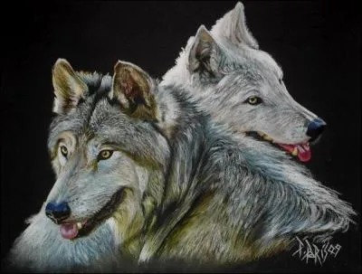 Qui chantait "Les loups sont entrés dans Paris" ?