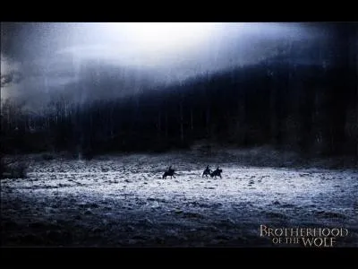 Quel est ce film de Christophe Gans ?