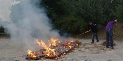 Pour ceux qui désireraient ne pas dépasser la mesure (ou qui ont du cholestérol), autre recette de moules 100 % nature : mais qu'est-ce ?