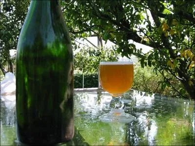 Qui a dit "La nature est prévoyante : elle a fait pousser la pomme en Normandie sachant que c'est la région où l'on boit le plus de cidre" ?