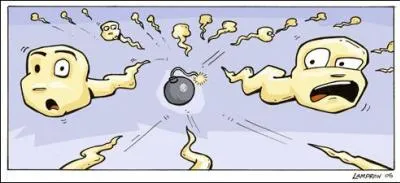 Comment s'appelle la loi qui autorise la contraception en 1967 ?