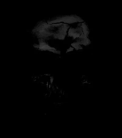 « Alors, avec un petit frémissement, l'elfe s'immobilisa, et ses yeux ne firent plus que deux grandes sphères vitreuses dans lesquelles scintillait la lueur des étoiles qu'ils ne pouvaient plus voir. »