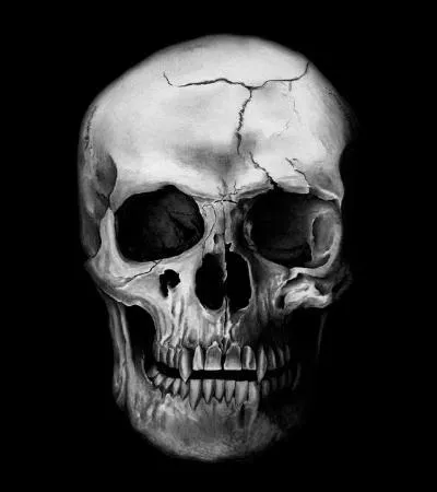 « Percy secouait son frère, Ron agenouillé à côté d'eux, mais les yeux de --- regardaient sans voir, le fantôme de son dernier rire toujours gravé sur son visage. »