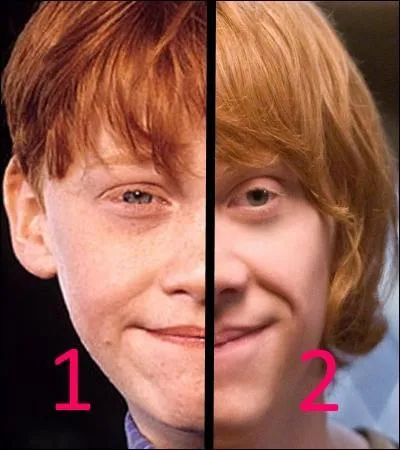 Quelle partie de Ron s'est amusée à lancer des gnomes dans son jardin ?