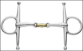 Quel est l'intrus dans ces mors de différents pays ?